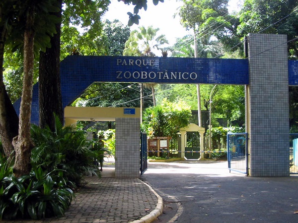 Zoo de Salvador irá funcionar durante o feriado de Finados