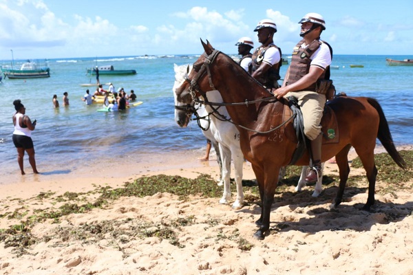 Esquadrão de Polícia Montada reinicia equoterapia para crianças na praia de Itapuã