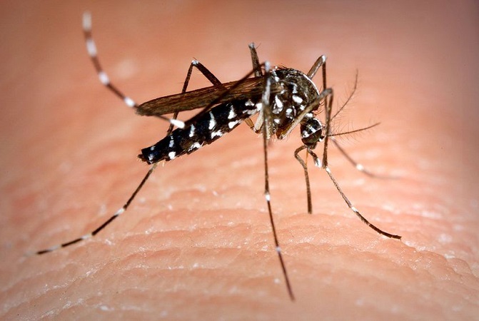 Santa Catarina decreta situação de emergência por dengue e doenças respiratórias