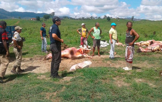 Polícia apreende 25 toneladas de carne bovina irregular em Itapetinga