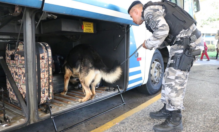 Cães farejadores ajudam na Operação Fim de Ano realizada na Rodoviária de Salvador