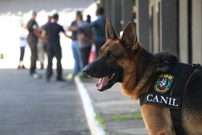 Torneio de Cães de Polícia integra forças de segurança do Estado