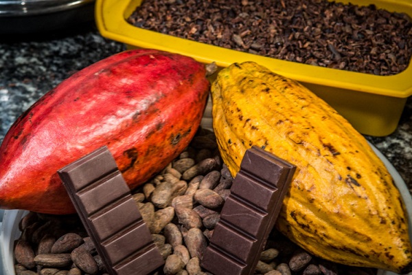 Maior evento de chocolate do Brasil começa nesta 4ª em Ilhéus