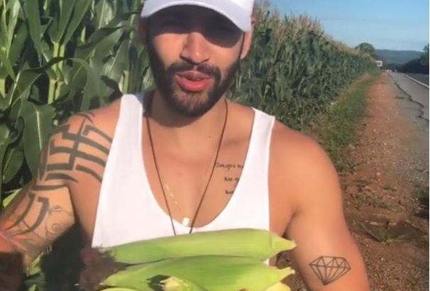 Cantor Gusttavo Lima divulga vídeo roubando milho na estrada; assista