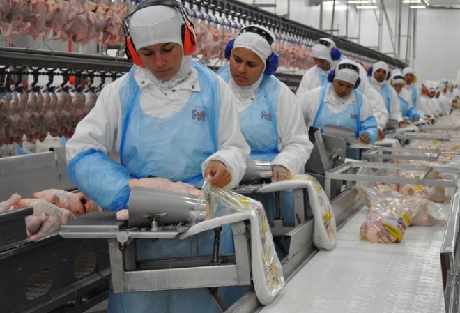 Ministério da Agricultura suspende exportações de frango de três frigoríficos da BRF