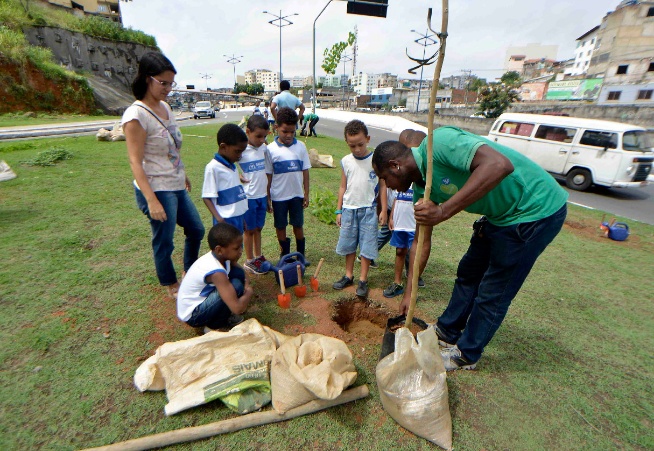Salvador: Árvores são plantadas em compensação ao BRT