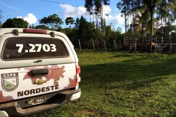 Gado roubado em Tucano é encontrado em fazenda em Entre Rios
