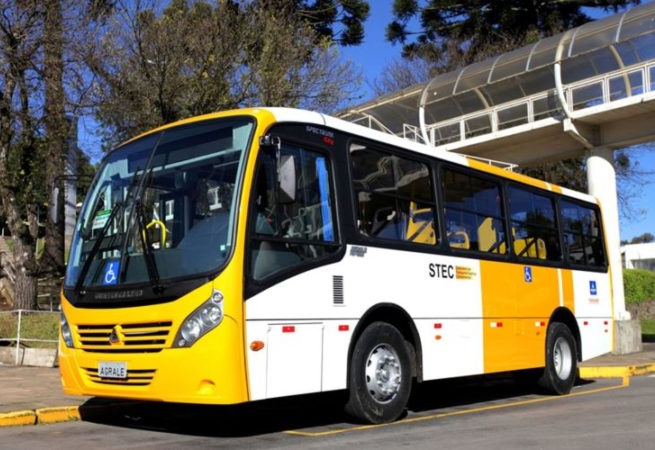 Mais de 270 micro-ônibus circulam em Salvador neste domingo