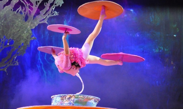 Circo da China on Ice apresenta “O Mundo da Imaginação” em Salvador