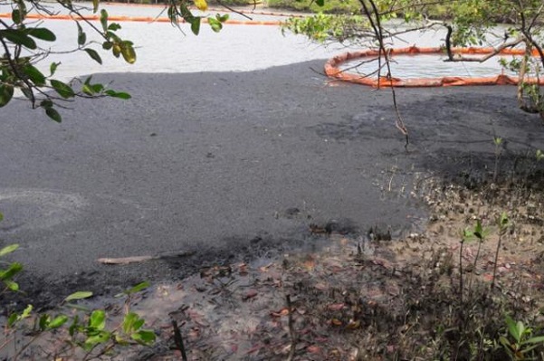 Vazamento em duto da Petrobras atinge rio e manguezal em Candeias