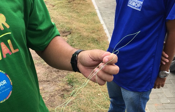 Operação combate uso de cerol e linha chilena em Salvador