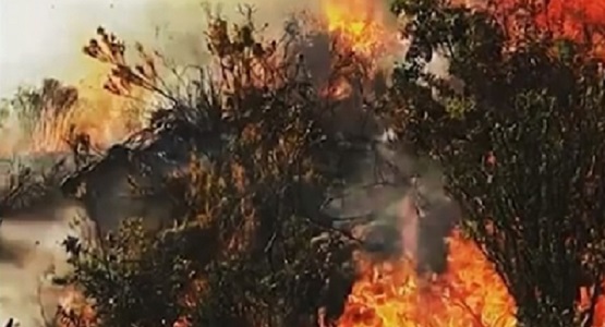 Chapada: Incêndio atinge serra entre os municípios de Abaíra e Piatã