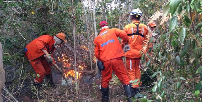 Chapada: Após cinco dias, incêndio persiste na serra entre Abaíra e Piatã