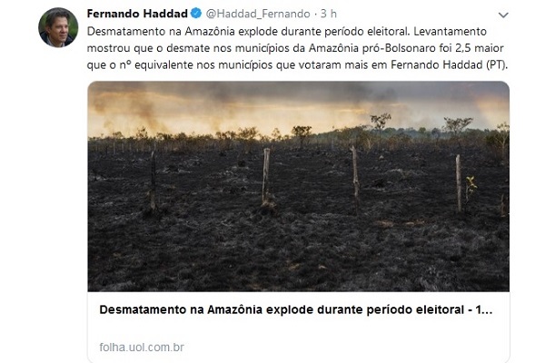 Haddad sugere que eleitores de Bolsonaro aumentaram o desmatamento na Amazônia
