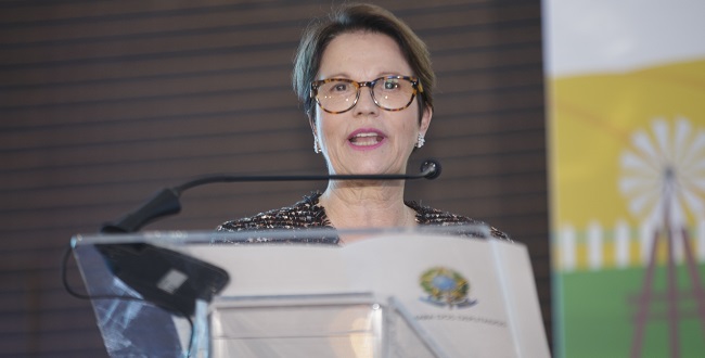 “Agronegócio ajudou a segurar PIB do Brasil durante pandemia”, diz ministra