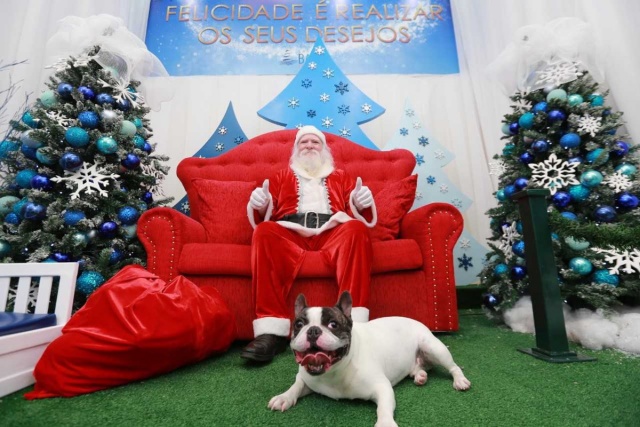 Shoppings de Salvador reservam espaços para cães e gatos neste Natal