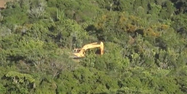Justiça suspende desmatamento em área de mata atlântica em Salvador