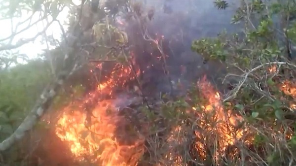 Bombeiros controlam incêndio na Serra do Cruzeiro em Jaguarari