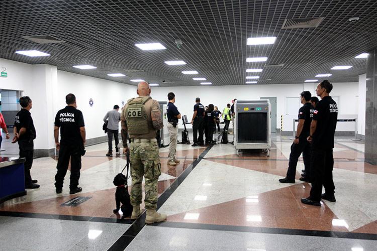 Polícia utiliza cães farejadores em operação no aeroporto de Salvador