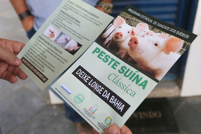 Adab realiza campanha de prevenção contra peste suína clássica