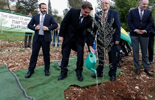 “Minha árvore crescerá mais que a de Lula”, diz Bolsonaro