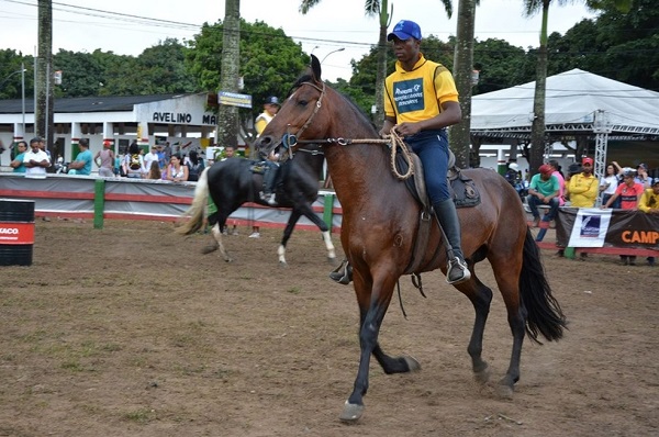 Expo Portal reúne 200 cavalos campolina marchador em Feira de Santana