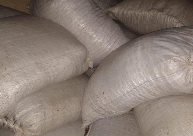 PM recupera carga roubada em Ilhéus com 13 toneladas de sementes de cacau