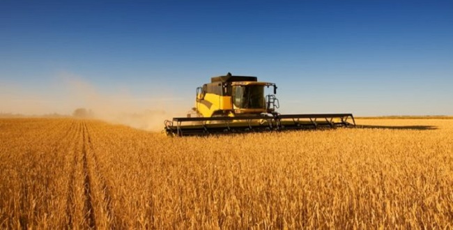 IBGE estima que safra baiana de grãos em 2020 será a maior já registrada