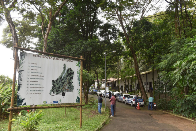 Novo Jardim Botânico de Salvador vai reforçar preservação de áreas verdes na cidade