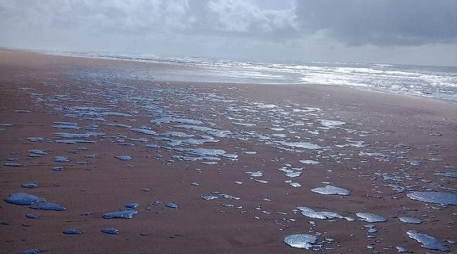 Mancha de óleo atinge praias em 53 municípios do Nordeste