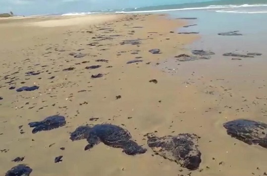 Sergipe decreta situação de emergência por manchas de óleo nas praias