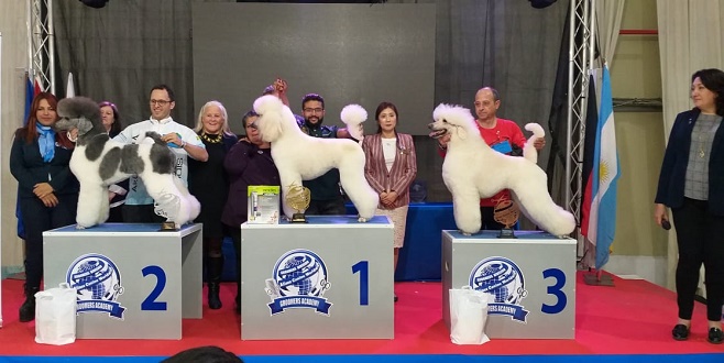 Novotel Salvador vai sediar “Workshop dos Campeões Dolce Pet”