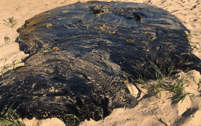 Manchas de óleo atingem praias na Ilha de Itaparica