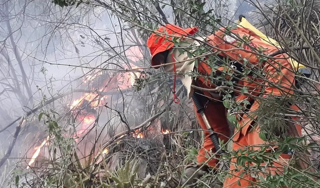 Incêndio atinge vegetação entre Rio de Contas e Livramento de N. Senhora