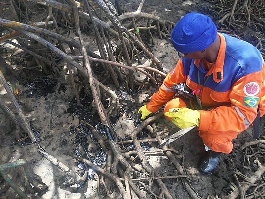 Mancha de óleo atinge manguezal do Rio Pojuca em Camaçari