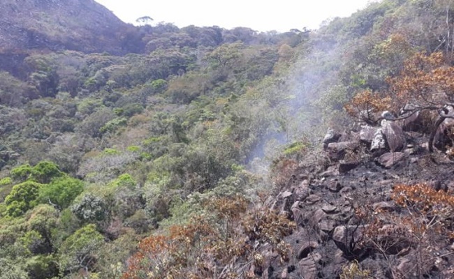 Bombeiros controlam incêndio que atingiu a Chapada Diamantina