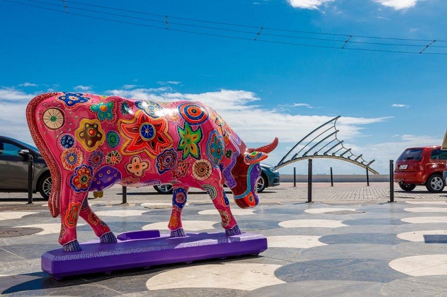 Artistas que pintaram as vacas artísticas da CowParade visitam o Martagão Gesteira