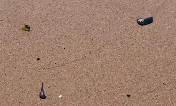 Praia do Forte tem novos registros de manchas de óleo