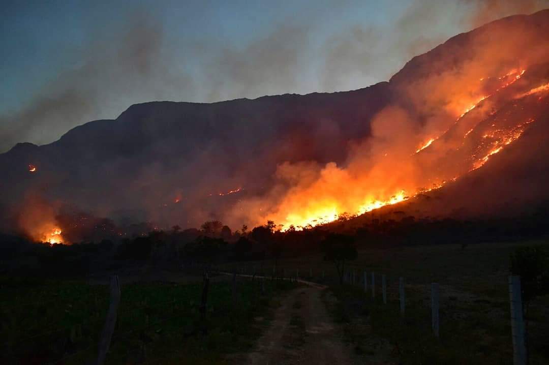 Paulo Azi cobra ação do governo para conter incêndios na Chapada Diamantina
