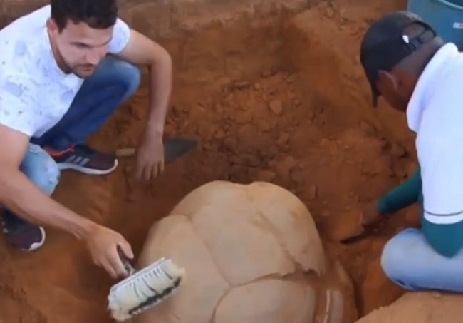 Agricultor encontra urna funerária indígena em Senhor do Bonfim