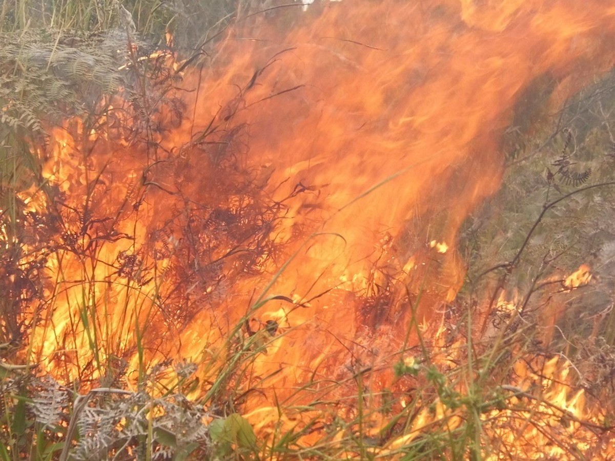 Bombeiros lutam contra incêndio na zona rural de Brejões