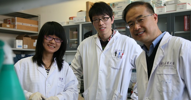 Cientistas chineses anunciam descoberta de anticorpos contra a covid-19