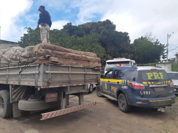 PRF apreende caminhão com carga de maconha em Feira de Santana