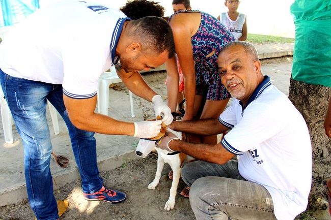 Vacinação animal começa nesta segunda em Salvador com sistema “drive-thru”