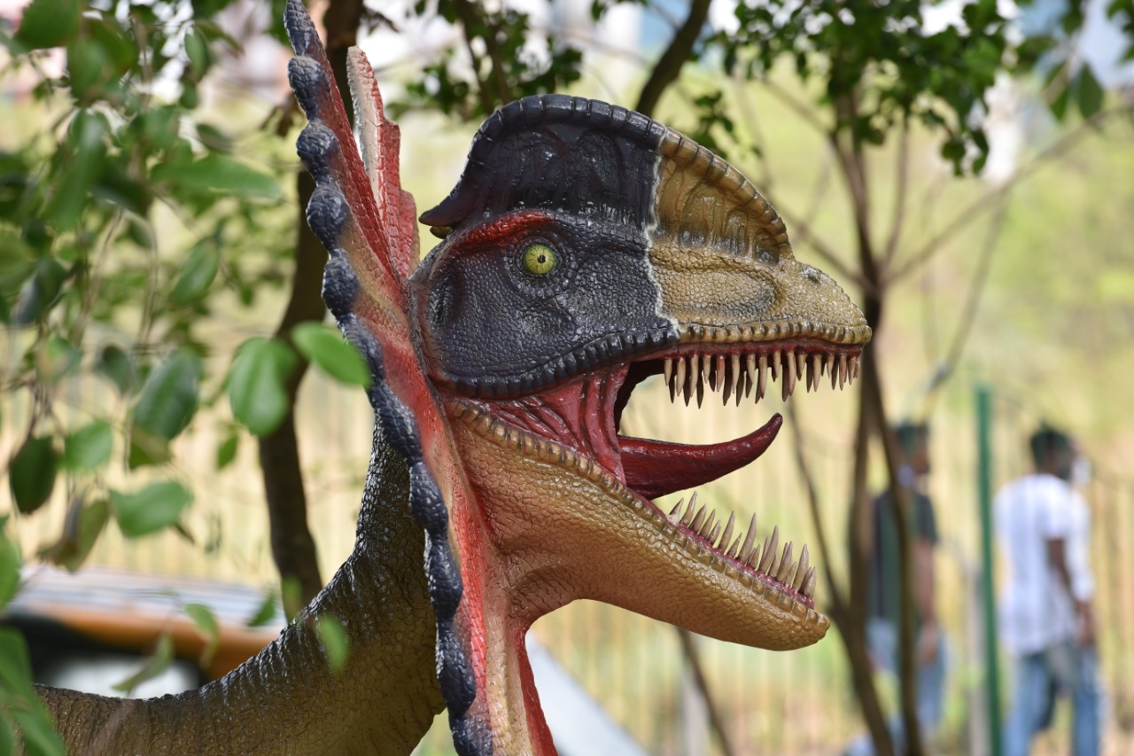 Lagoa dos Dinossauros traz clima pré-histórico para Salvador