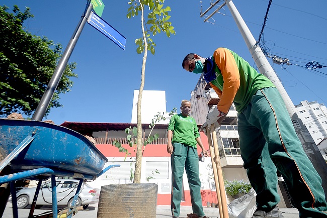 Operação Plantio Chuva começa nesta quarta em Salvador