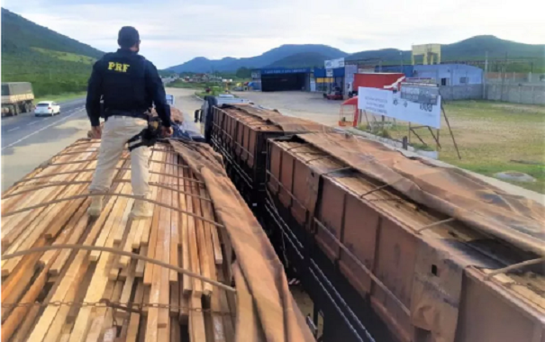 PRF apreende cerca de 100 toneladas de madeira de origem ilegal em Jequié