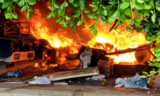 Incêndio atinge colônia de gatos no bairro de Piatã em Salvador