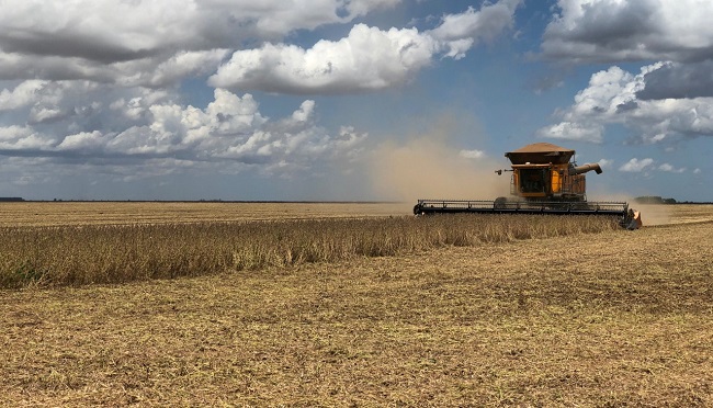 Safra de grãos na Bahia deve alcançar recorde de 10,4 milhões de toneladas