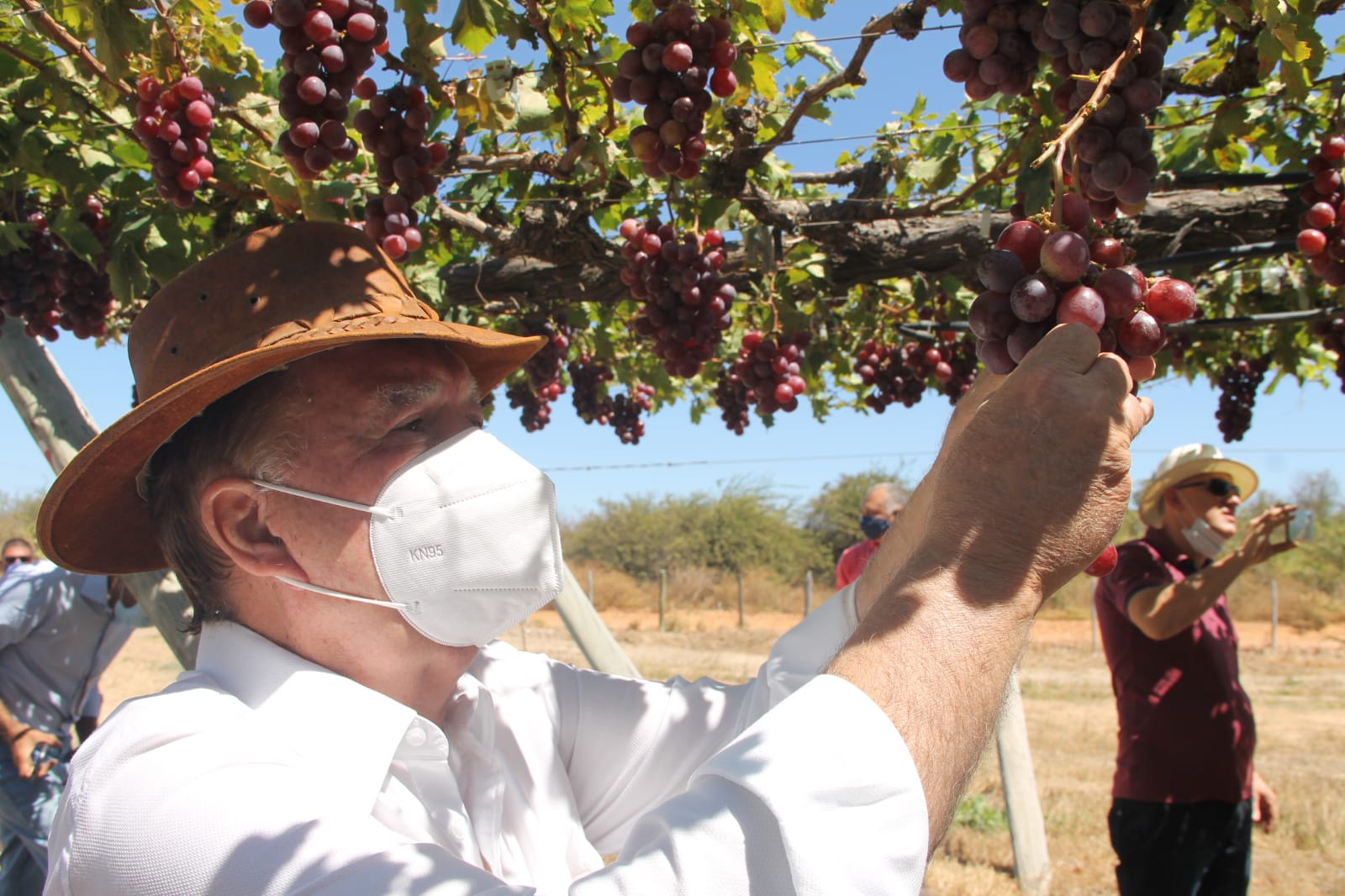 Produtores de vinho catarinenses conhecem oportunidades de investimento na Bahia